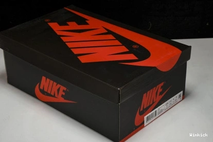 Travis Check The Scott FZ8117-900 x Jordan Cut 1122